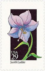 Wildflowers: Jacob's Ladder