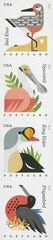 Imperf Coastal Birds