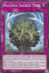 Naturia Sacred Tree - OP20-EN025 - Common - Unlimited Edition