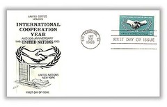 International Cooperation Year