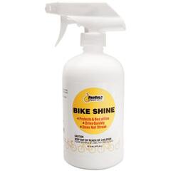 Pro Link Bike Shine