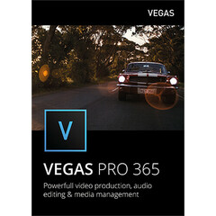 Movavi Video Suite 2022 (Business, Lifetime, Download)