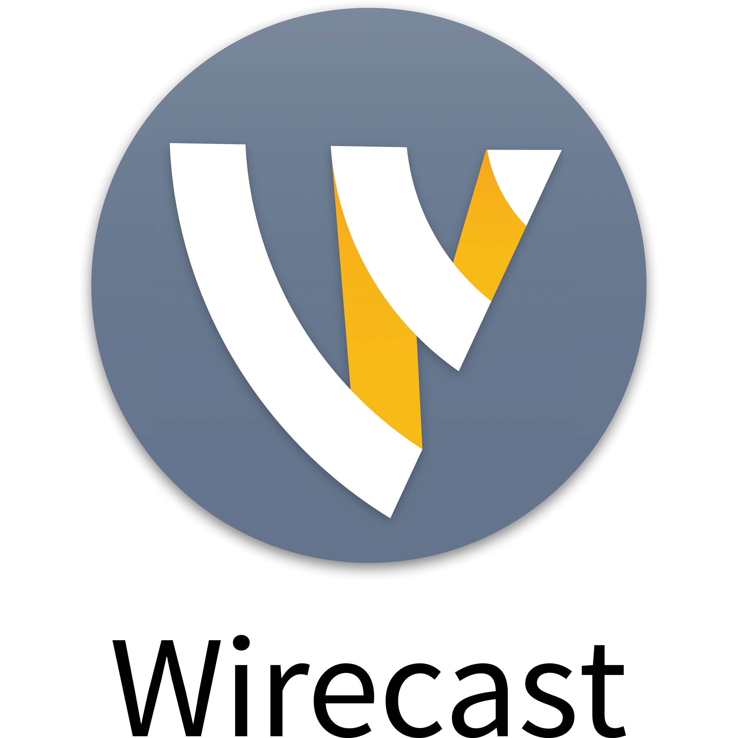 VisTitle VisLive Pro v3 (Download, Windows)