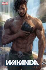 Df Wakanda #1 Artgerm Var Williams Sgn (STL246834)