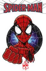 Df Spiderman #1 Blank Haeser Spiderman Sgn Sketch (STL246805)