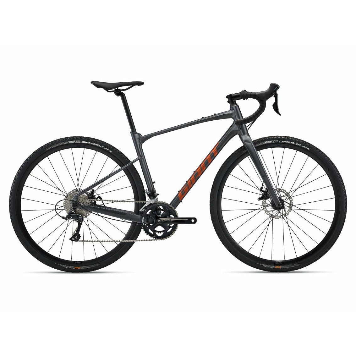Giant Revolt 2 Disc Gravel Bike