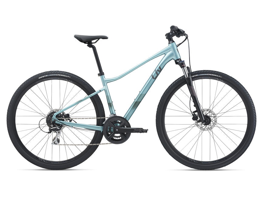 Giant Rove 3 DD Disc 2021