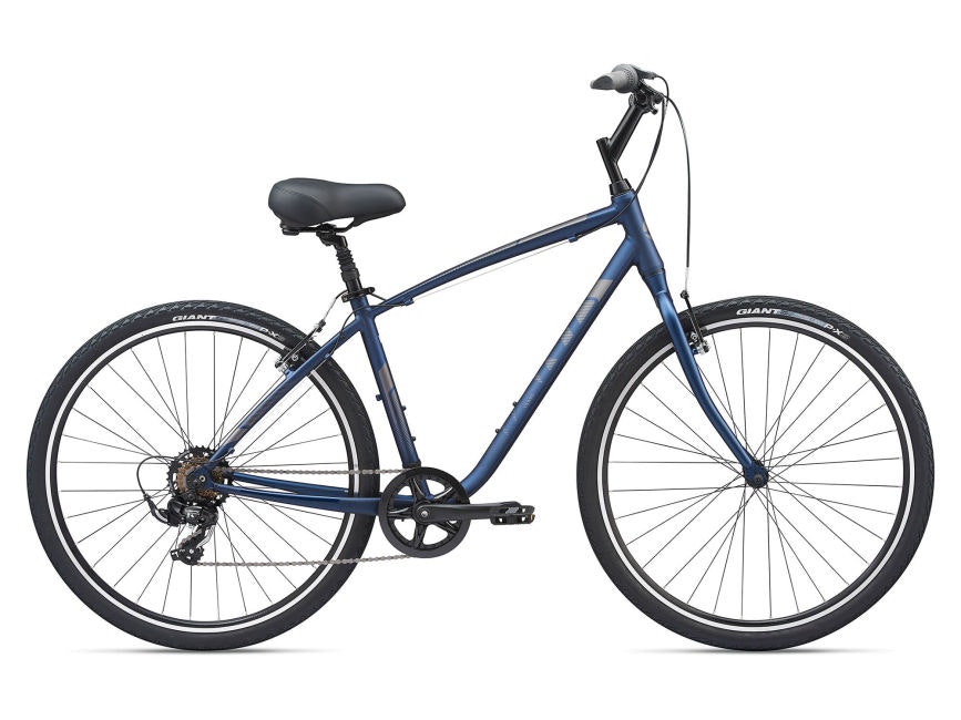 Giant Cypress LG Metallic Navy 2022
