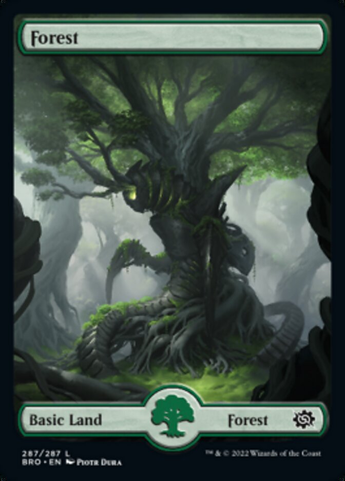 Forest (287) - Foil - Full Art