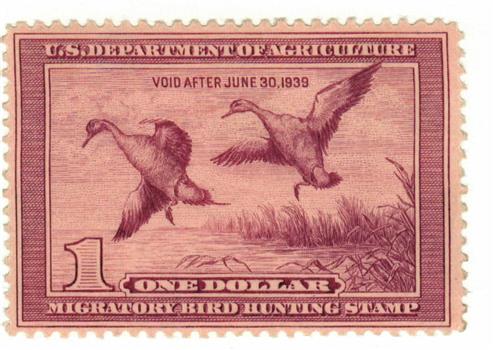 Federal Duck Stamp - Pintail Drake