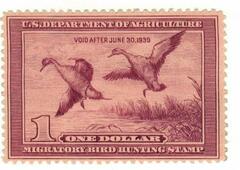 Federal Duck Stamp - Pintail Drake