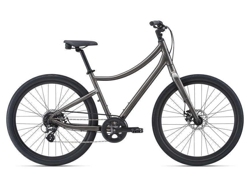 Giant Vida 2021