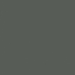 Savage Widetone Seamless Background Paper (#27 Thunder Gray, 53