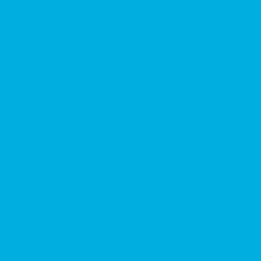 Savage Widetone Seamless Background Paper (#31 Blue Jay, 9' x 36')