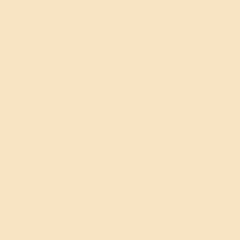 Savage Widetone Seamless Background Paper (#19 Egg Nog, 9' x 36')