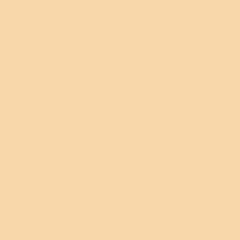Savage Widetone Seamless Background Paper (#25 Beige, 53