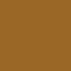 Savage Widetone Seamless Background Paper (#80 Cocoa, 9' x 36')