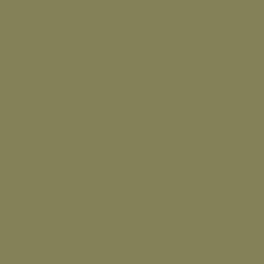 Savage Widetone Seamless Background Paper (#34 Olive Green, 7' x 36')
