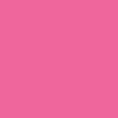 Savage Widetone Seamless Background Paper (#37 Tulip, 9' x 36')
