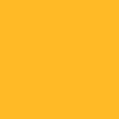 Savage Widetone Seamless Background Paper (#71 Deep Yellow, 7' x 36')