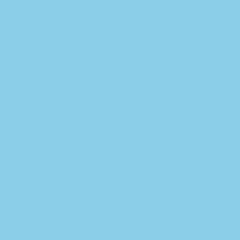 Savage Widetone Seamless Background Paper (#75 True Blue, 9' x 36')