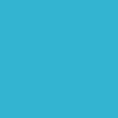Savage Widetone Seamless Background Paper (#75 True Blue, 7' x 36')