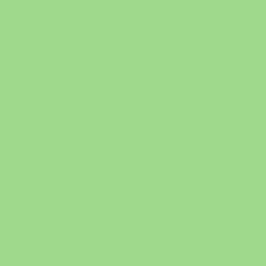 Savage Widetone Seamless Background Paper (#40 Mint Green, 7' x 36')