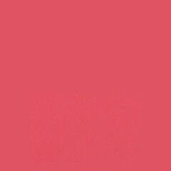 Savage Widetone Seamless Background Paper (#92 Flamingo, 7' x 36')