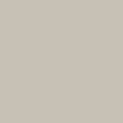 Savage Widetone Seamless Background Paper (#12 Studio Gray, 7' x 36')