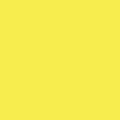 Savage Widetone Seamless Background Paper (#38 Canary, 53