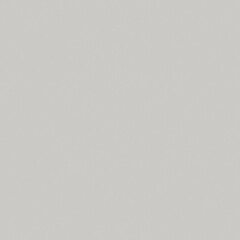 Savage Widetone Seamless Background Paper (#60 Focus Gray, 26