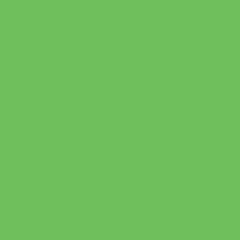 Savage Widetone Seamless Background Paper (#46 Tech Green, 53