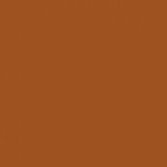 Savage Widetone Seamless Background Paper (#17 Sienna, 107