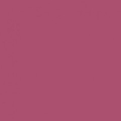 Savage Widetone Seamless Background Paper (#67 Ruby, 26