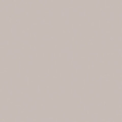 Savage Widetone Seamless Background Paper (#61 TV Gray, 26