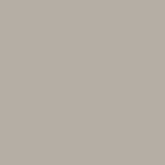 Savage Widetone Seamless Background Paper (#61 TV Gray, 7' x 36')