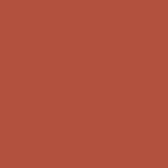 Savage Widetone Seamless Background Paper (26