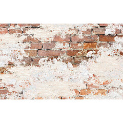 Savage Printed Background Paper (53