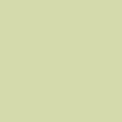 Savage Widetone Seamless Background Paper (#81 Rustic, 9' x 105')