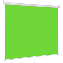 Westcott X-Drop Pro Wrinkle-Resistant Backdrop Sweep (Chroma-Key Green, 8 x 13')