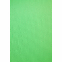Savage Accent Solid Muslin Background (10 x 12', Chroma Green)