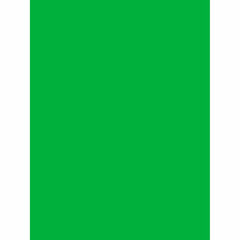 Savage Economy Background Support Stand with 5 x 9' Chroma Green Backdrop