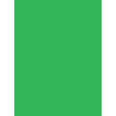 Photoflex FlexDrop Background (Chroma Key Green)