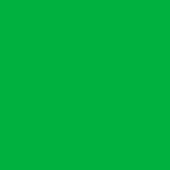 Rosco Dance Floor (Blue/Green Chroma, 20')