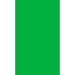 Studio Dynamics Canvas Background, Studio Mount - 10x24' - Chroma Key Green