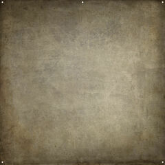 Impact Background Kit with 10 x 12' with Gray Mist Crushed Muslin Backdrop