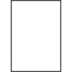 Zuma 10 x 10' Muslin Background (Black)