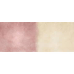 Click Props Backdrops DuoFlat ProFabric Background (Lemon & Lime, 4 x 10')