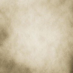 Click Props Backdrops DuoFlat ProFabric Background (Winter Scenes, 4 x 10')