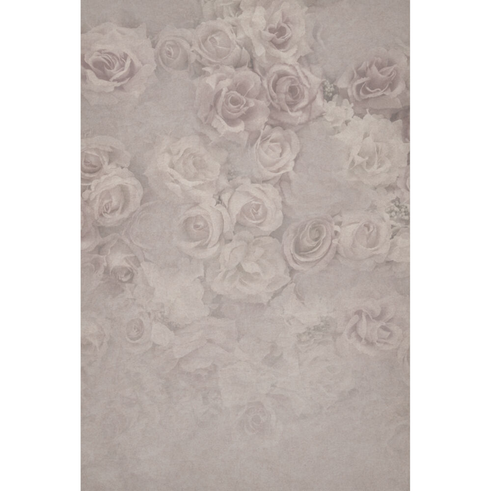 EASIFRAME® Cyclorama Fabric Curved Frame Skin (Wisteria)